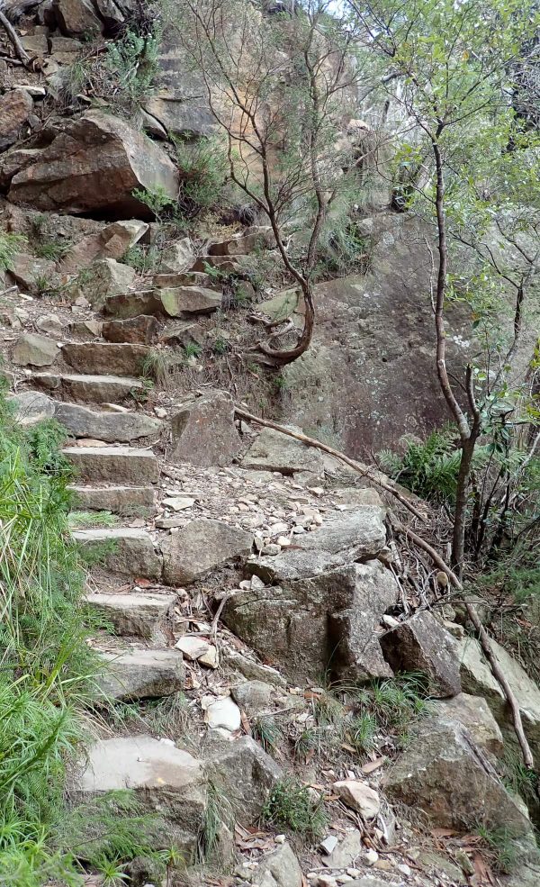 porters pass Centennial Glen