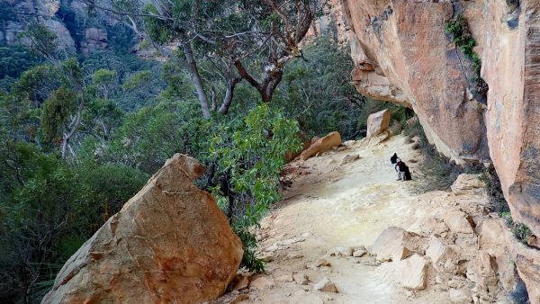 porters pass Centennial Glen