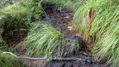 porters pass Centennial Glen