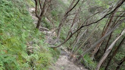 porters pass Centennial Glen