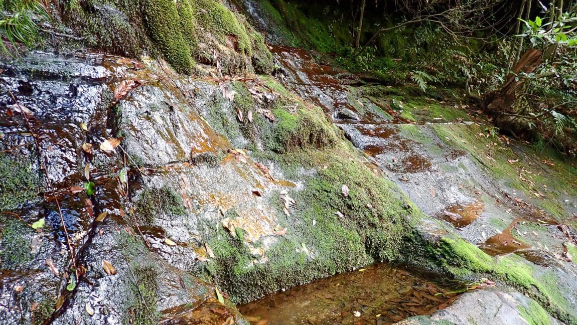 porters pass Centennial Glen