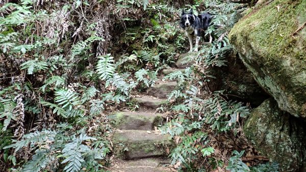 porters pass Centennial Glen