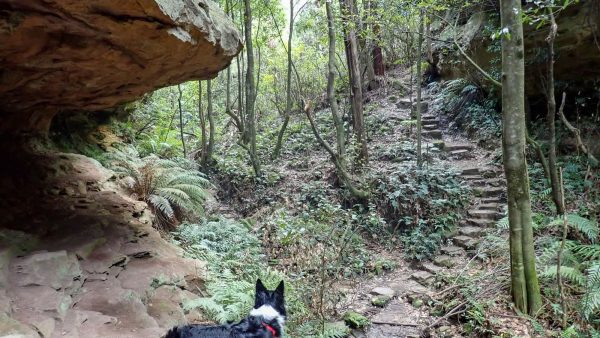 porters pass Centennial Glen