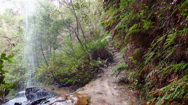 porters pass Centennial Glen