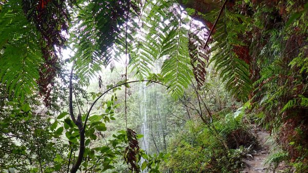 porters pass Centennial Glen