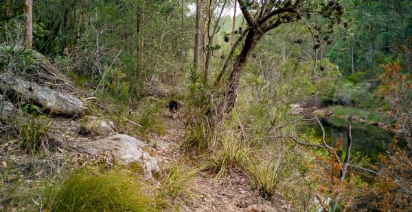 2019.11.30.freres.hb