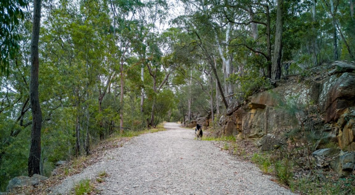 2019.11.30.freres.ib