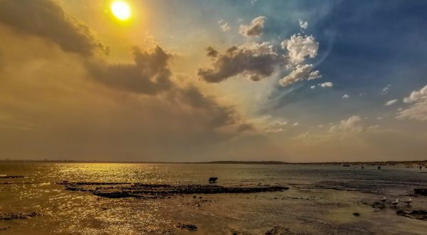 kernell boat harbour kernel perninsula swimming beach nsw australia summer dog dog friendly border collie frisbee bay sunset rocks hiking climbing bush bushwalking walking exersize cronulla cave snorkling scuba scuba diving diving puppy waves surfing