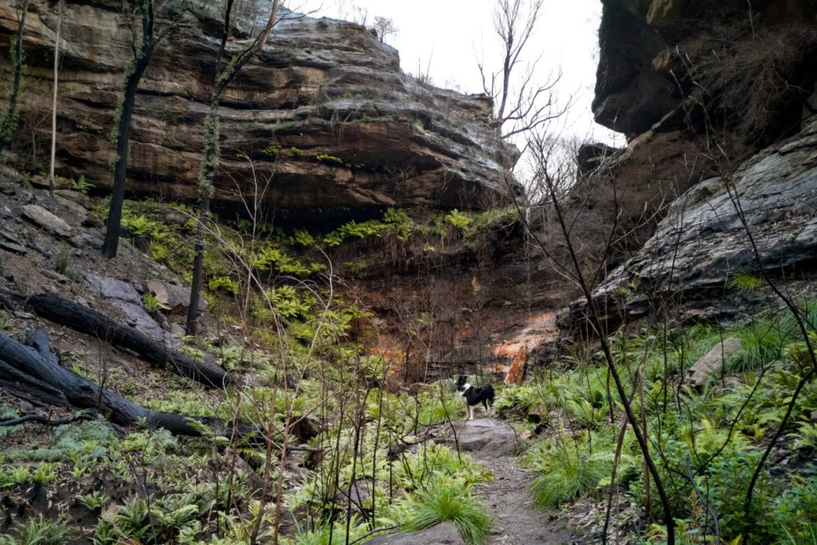 Ida falls