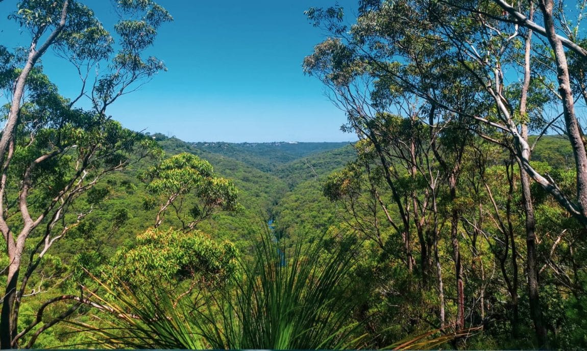 engadine