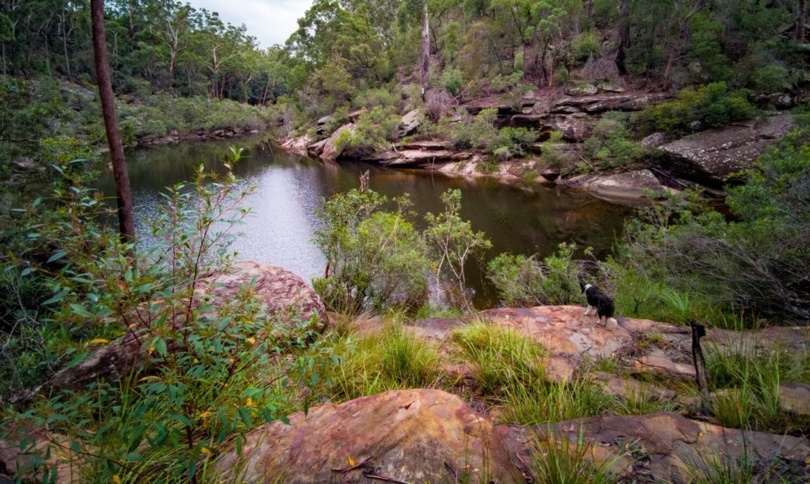 2021.03.14.Kentlyn.c