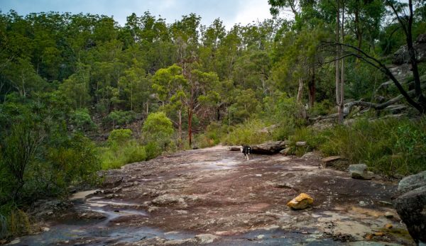 2021.03.14.Kentlyn.e