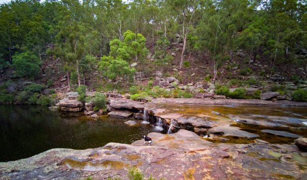 2021.03.14.Kentlyn.g