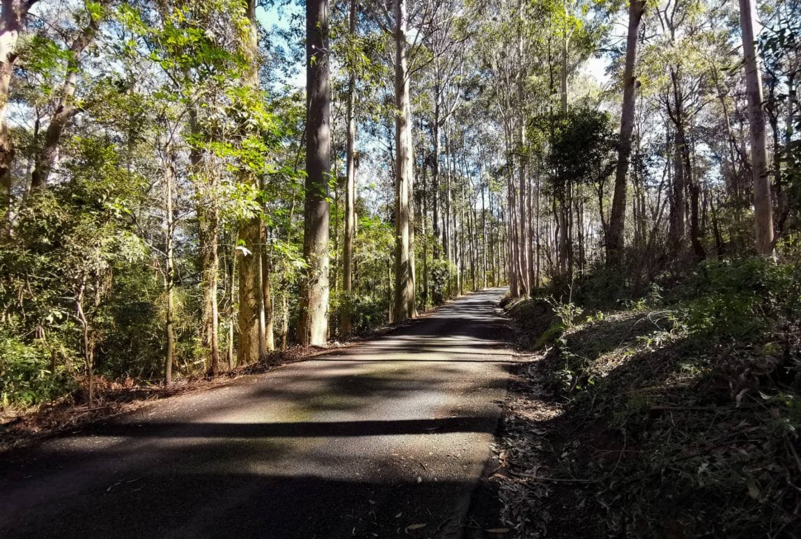 cumberland state forest