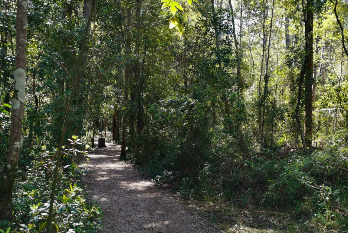 cumberland state forest