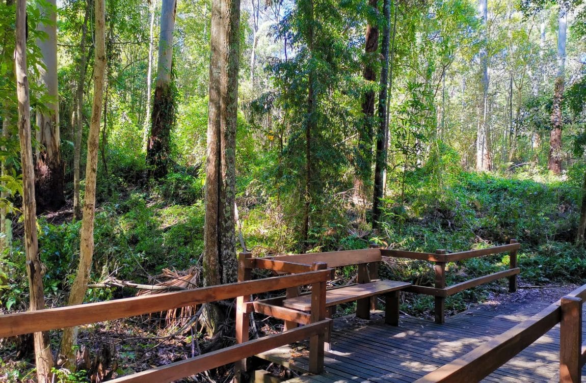 cumberland state forest