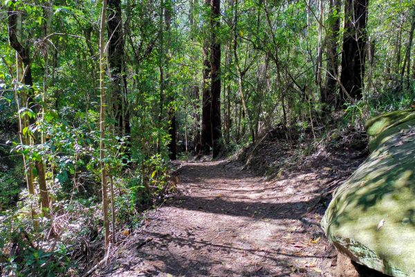 cumberland state forest