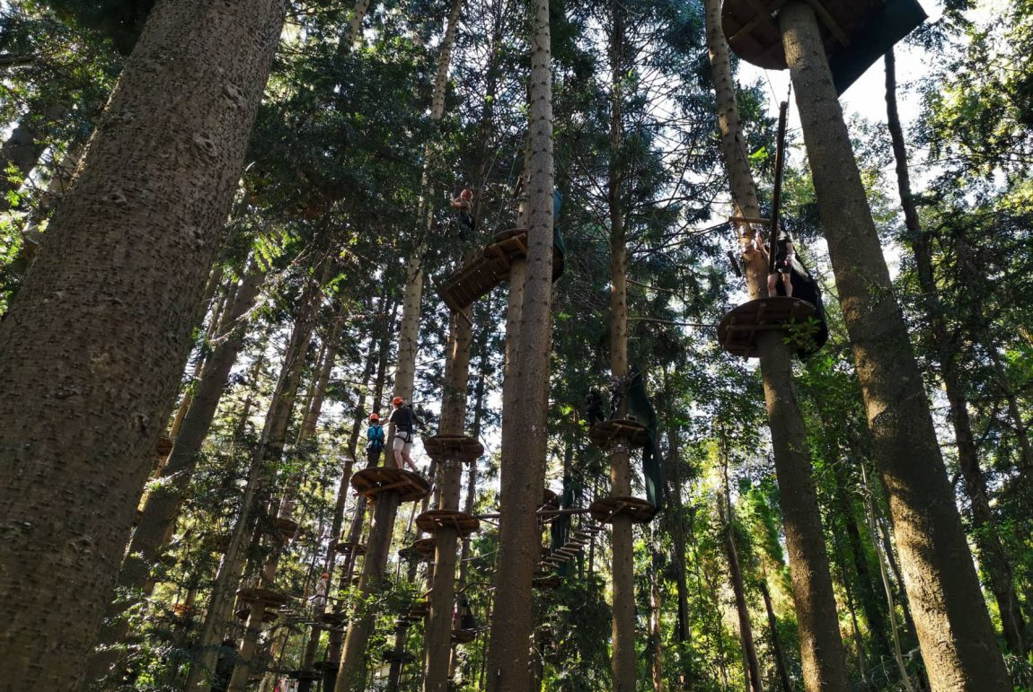 cumberland state forest