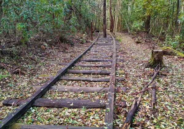 kerewong state forest