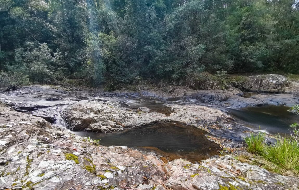 kerewong state forest