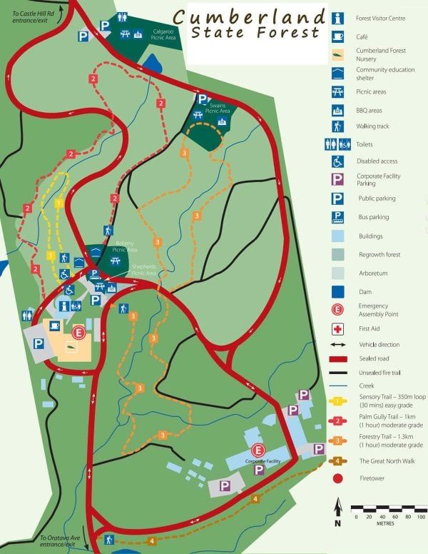 cumberland state forest map