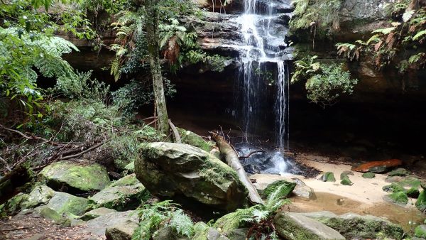 oaklands falls horseshoe falls
