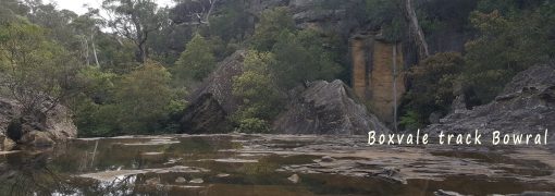 boxvale
