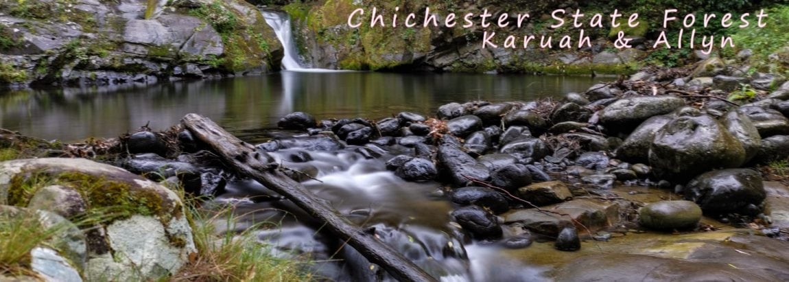 title chichester state forest