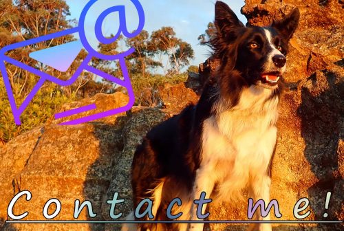 email contact me