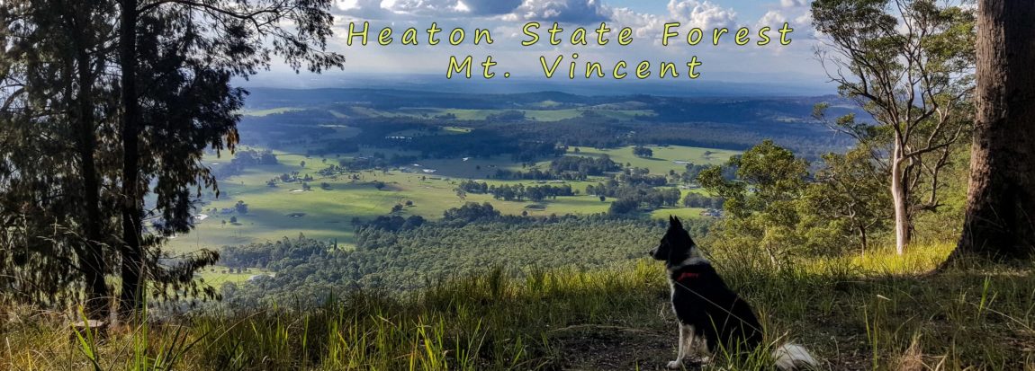 heaton state forest