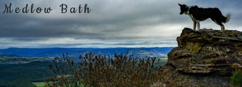 Medlow bath