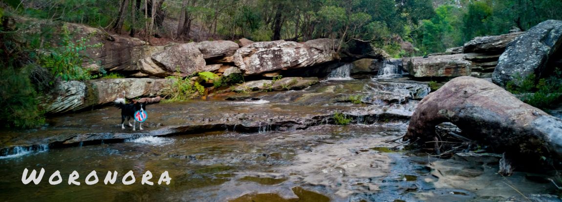 woronora
