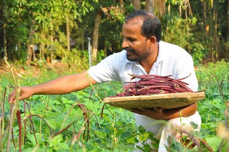 Farm laws: Apex court seeks Centre’s reply on Prathapan’s plea Farm laws: Apex court seeks Centre’s reply on Prathapan’s plea