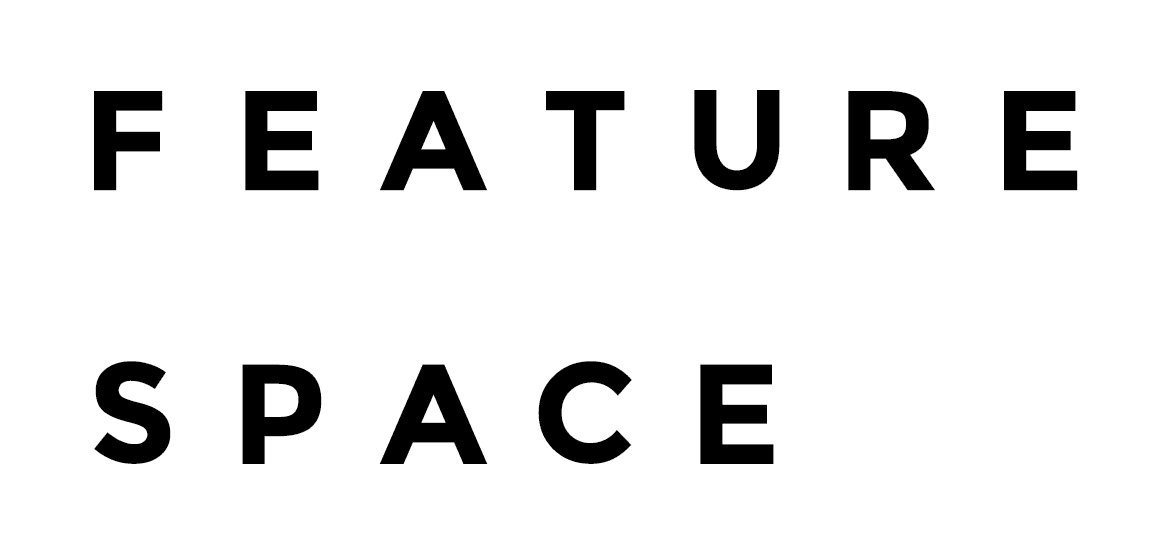 Feature Space image