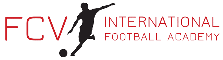 Football CV image