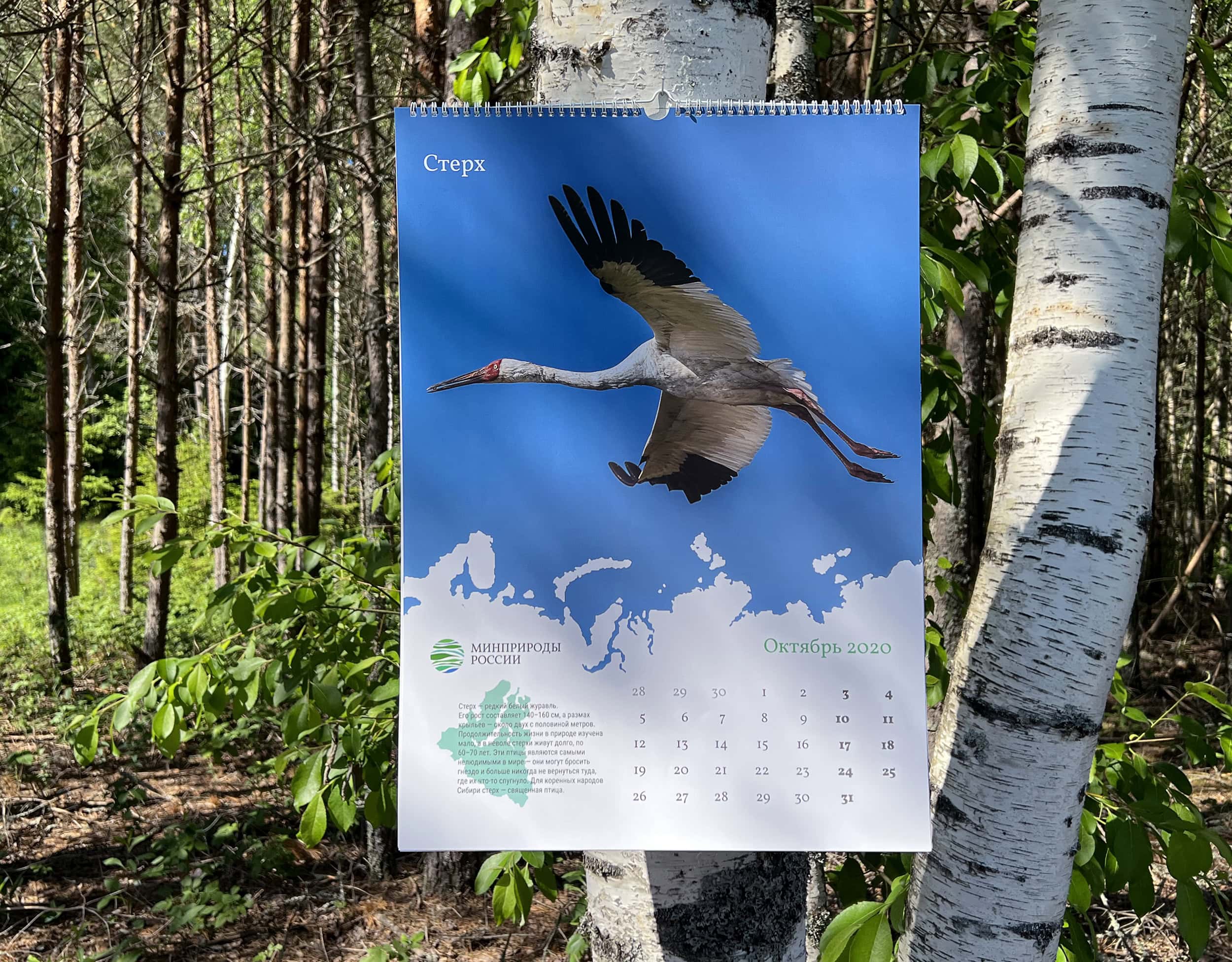"Sterkh" calendar spread.