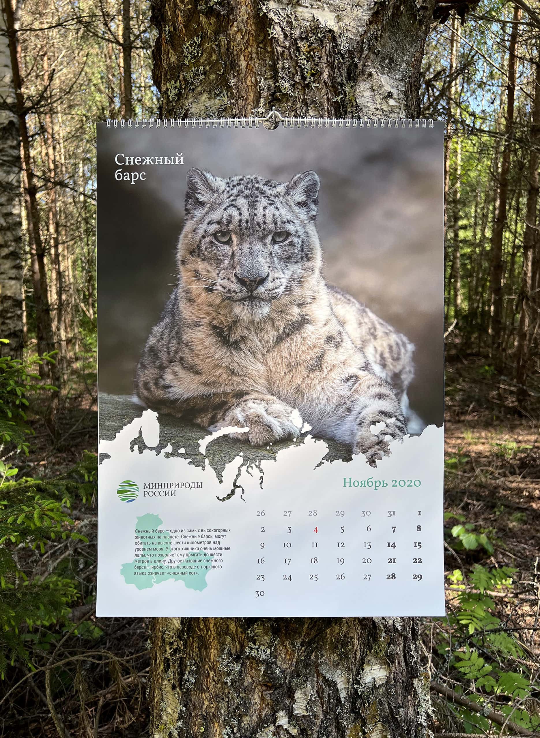 "Snow Leopard" calendar spread.