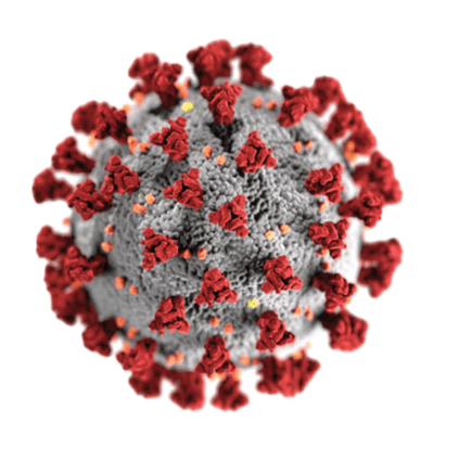 cropped-Coronavirus-COVID-19.png