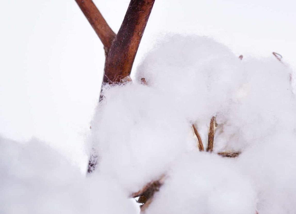 LES MATIERES DES TISSUS