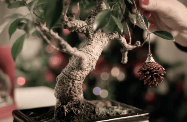 Immagine dallo Spot per Trollbeads dal titolo "I'm Gonna Change"