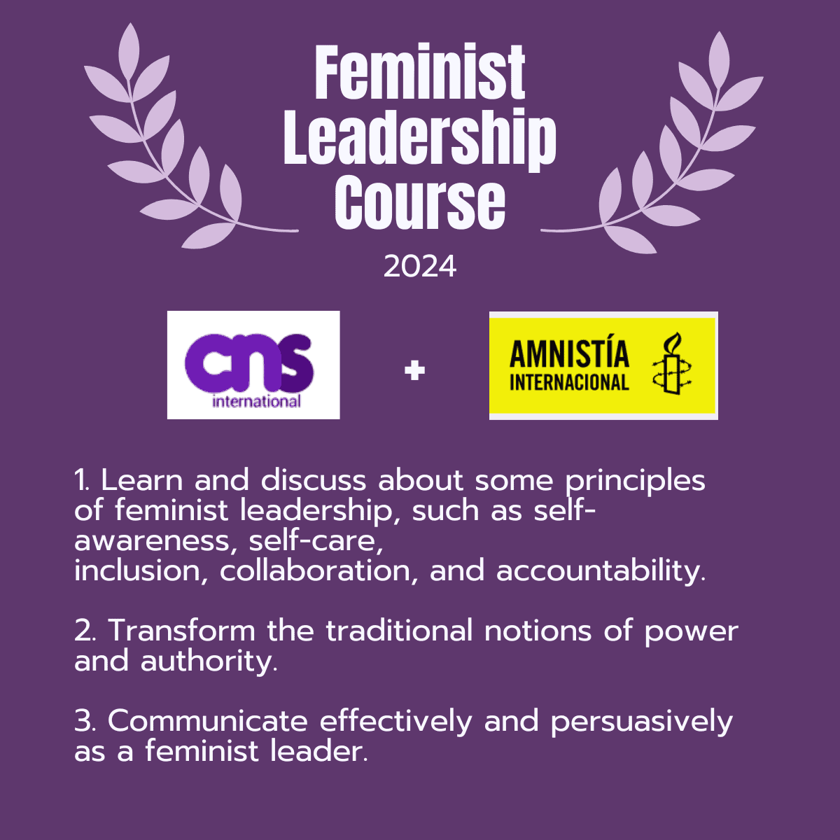 Nuevo curso de Liderazgo Feminista.