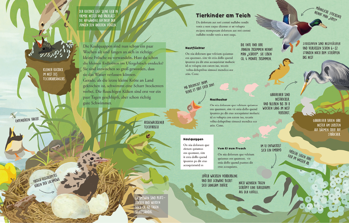 Was tummelt sich am Teich? Kinderbuch und Jugendbuchverlag G&G