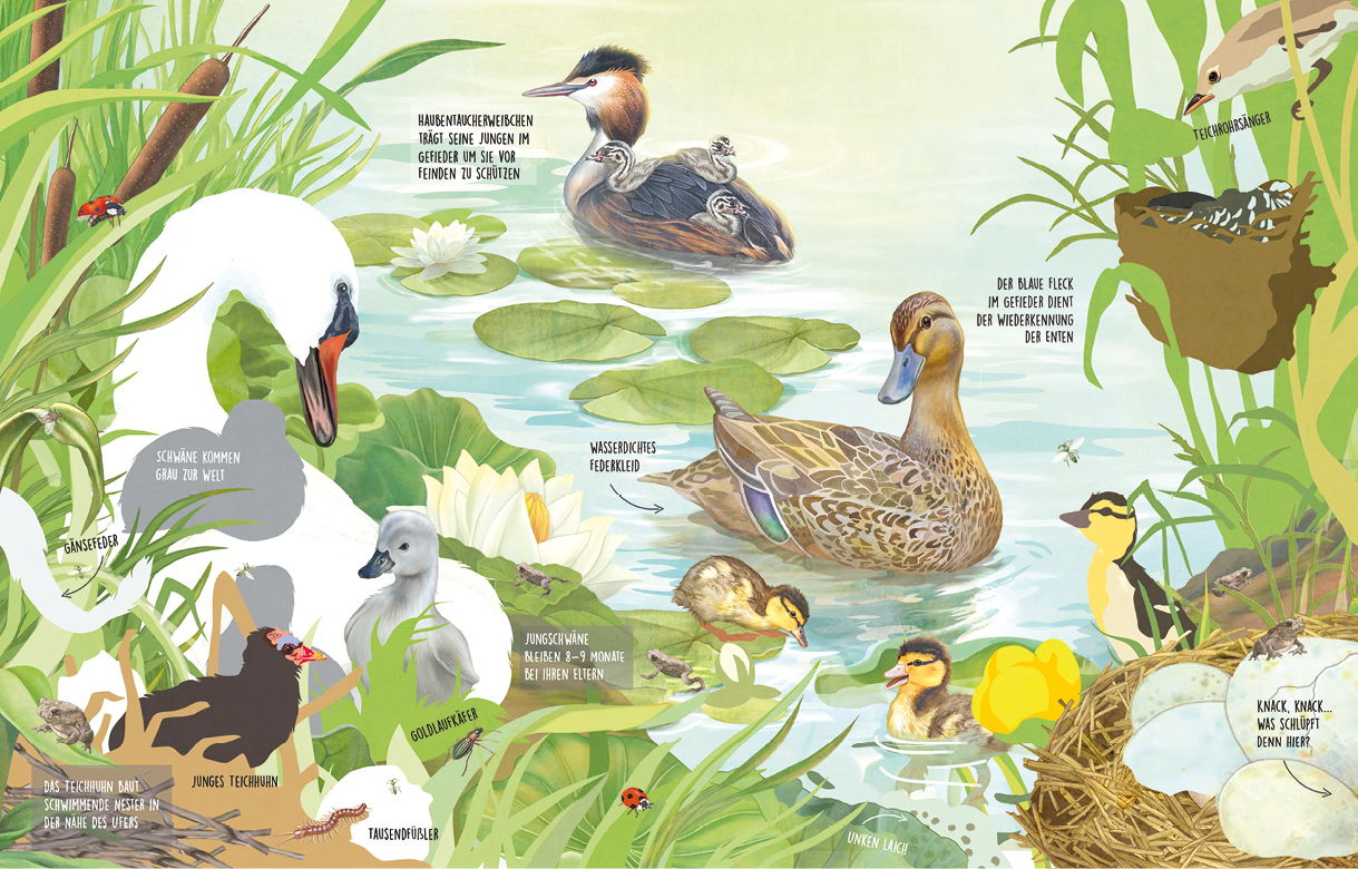 Was tummelt sich am Teich? Kinderbuch und Jugendbuchverlag G&G