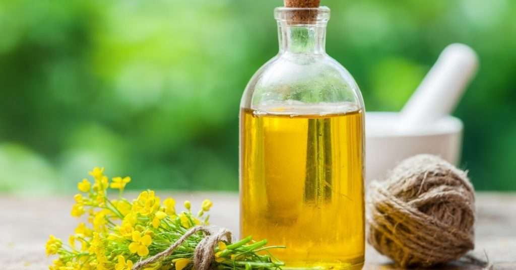 Is Canola Oil Vegan And Should You Cook With It