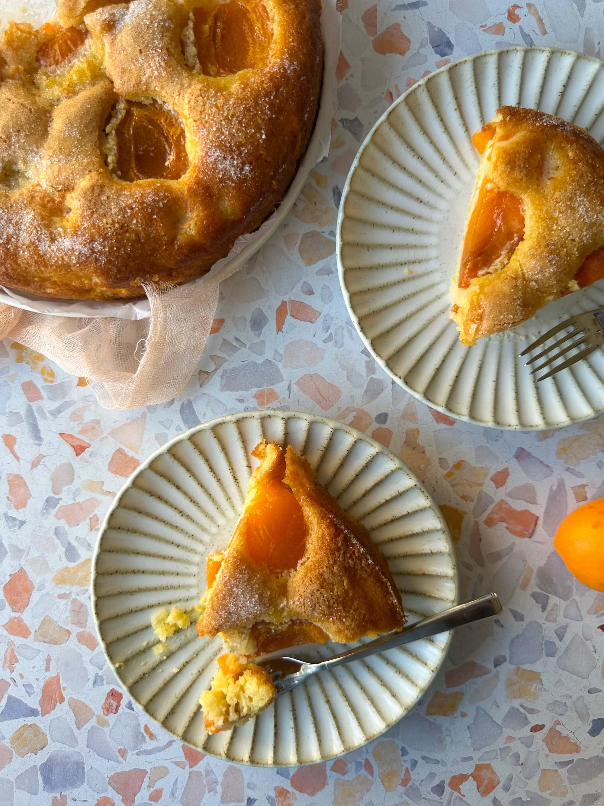 Slices of Apricot Cake on Plate