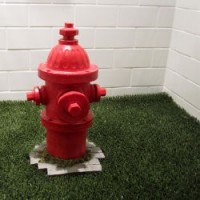 Indoor fake grass and red fire hydrant