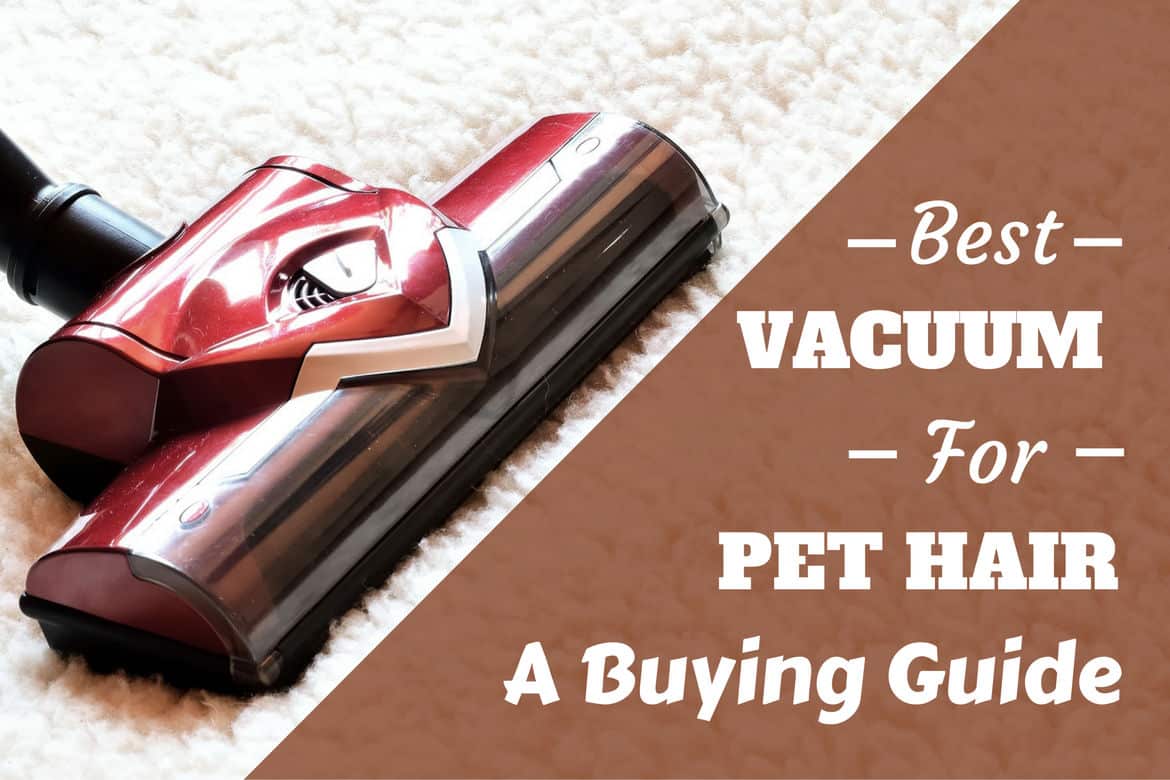 Best vacuum for pet hair written beside close up of hoover head on a rug