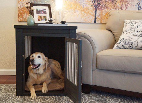 New age pet Ecoflex crate in a living room with a picture frame on top and golden retriever inside