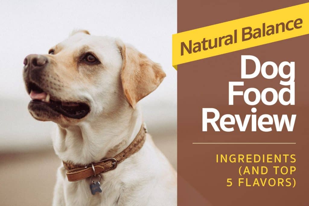 Natural-Balance-Dog-Food-Reviews-Ingredients-Top-5-Flavors-1024x683.jpg