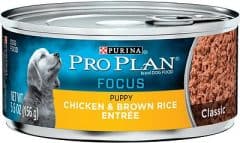 Purina Pro Plan Focus Puppy Classic Chicken & Brown Rice Entree Canned Dog Food